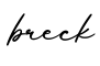 单词breck书写