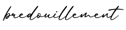 单词bredouillement书写