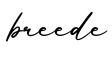 单词breede书写