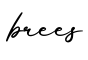单词brees书写