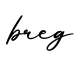 单词breg书写
