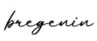 单词bregenin书写