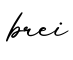 单词brei书写