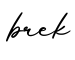 单词brek书写