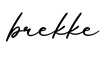 单词brekke书写