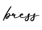 单词bress书写