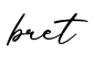 单词bret书写