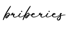 单词briberies书写