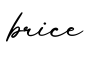 单词brice书写
