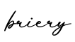单词briery书写