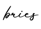单词bries书写