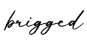 单词brigged书写