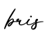 单词bris书写