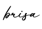 单词brisa书写