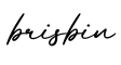 单词brisbin书写