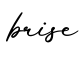 单词brise书写