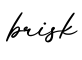 单词brisk书写