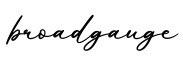单词broadgauge书写