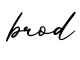 单词brod书写