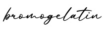 单词bromogelatin书写