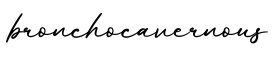 单词bronchocavernous书写