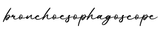 单词bronchoesophagoscope书写