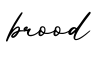 单词brood书写