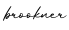 单词brookner书写