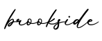 单词brookside书写