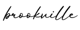 单词brookville书写