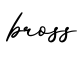 单词bross书写