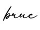 单词bruc书写