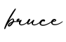 单词bruce书写