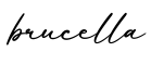 单词brucella书写