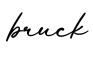单词bruck书写