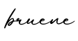 单词bruene书写