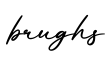 单词brughs书写
