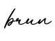 单词brun书写