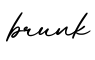 单词brunk书写