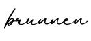 单词brunnen书写