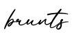 单词brunts书写