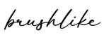单词brushlike书写