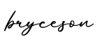 单词bryceson书写