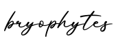 单词bryophytes书写