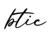 单词btic书写