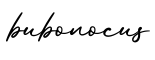 单词bubonocus书写