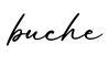 单词buche书写