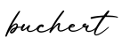 单词buchert书写