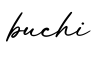 单词buchi书写