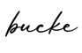 单词bucke书写